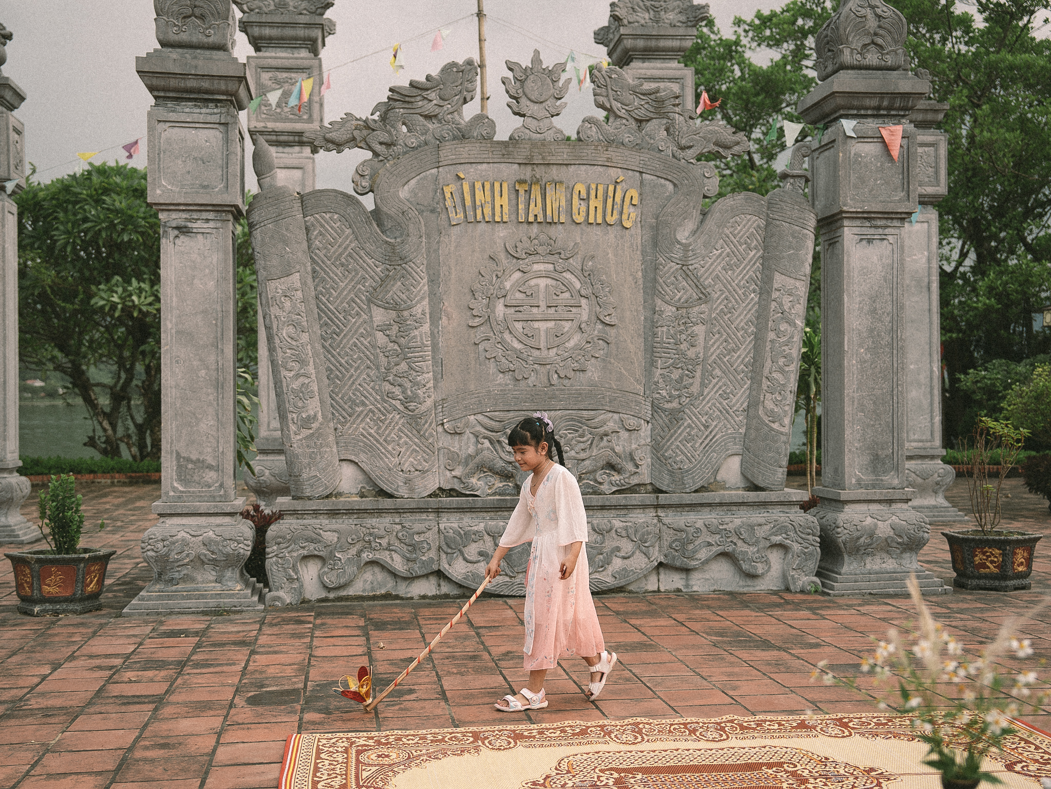 550021033 1153621986867173 7034249911328296715 N