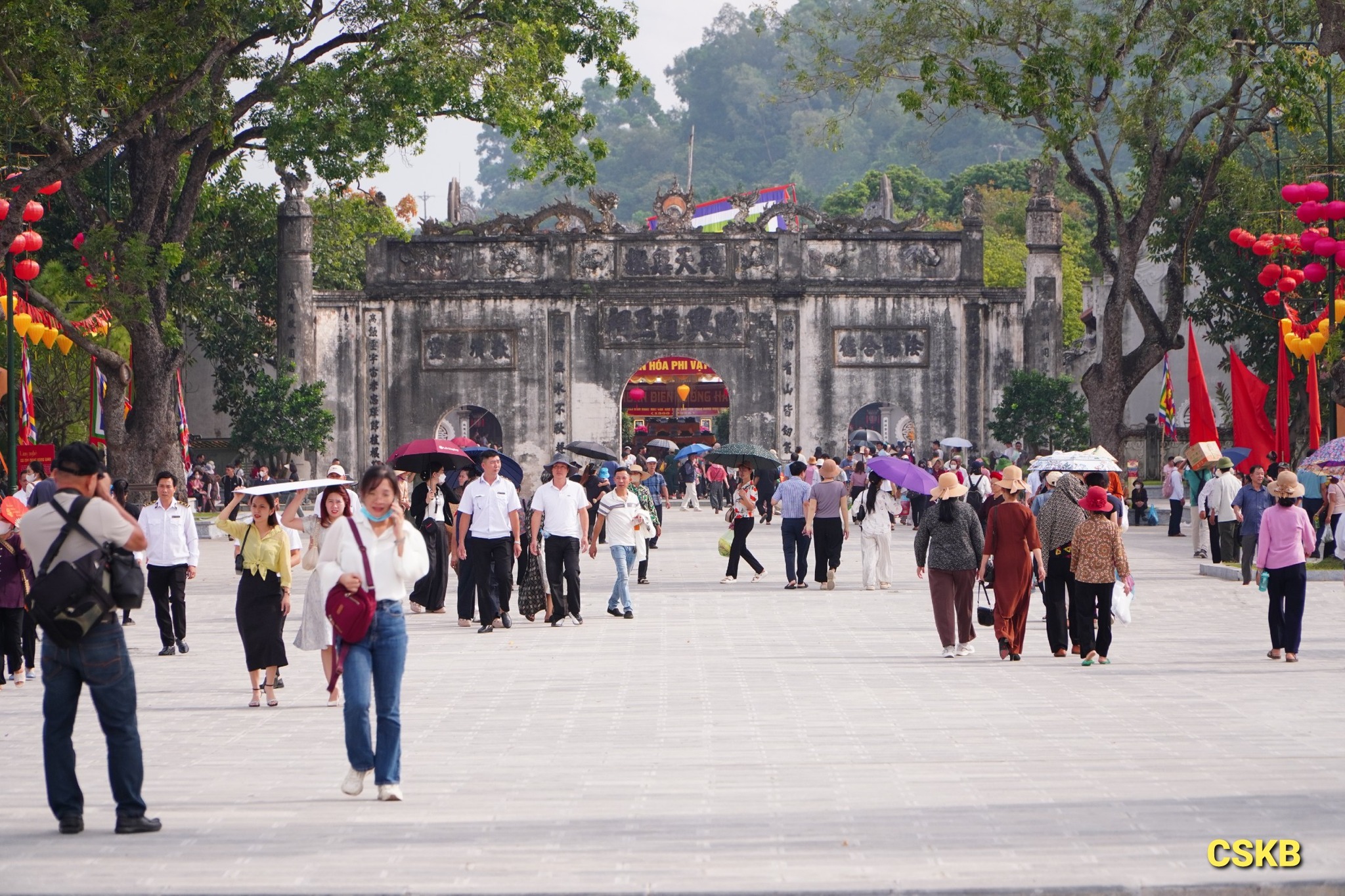 558389931 1357582252832113 4332051248817688144 N