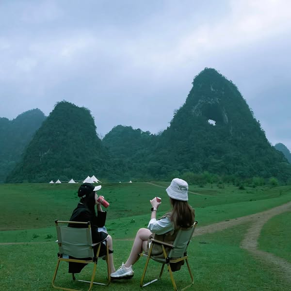 485805732 1106479331500666 990679981504423014 N