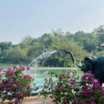 559367040 1252798746874900 5739287728350974767 N