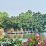 560922552 1252798630208245 1732348974954443649 N