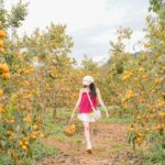 553052901 2214812609005398 5541478836643181513 N