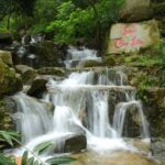 524127992 122159786642488071 6801590027774941569 N