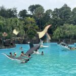 518340524 761078153145569 1744670726931225819 N