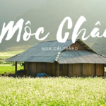 Mộc Châu