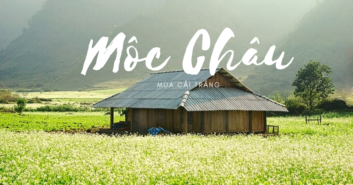 Mộc Châu